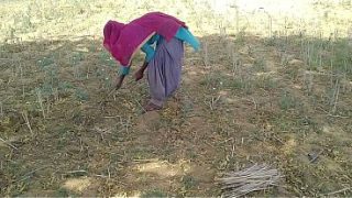 देसी इंडियन ब्वॉयफ्रेंड ने खेत में काम कर रही उसकी मस्त चोदा