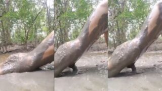 Cowok Gila Ngentot Kesepian Bejibun Di Lumpur Dalam Video Xxx