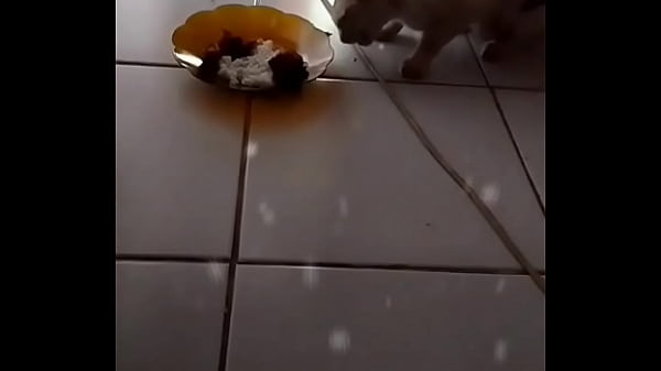 Anita, Siap Digoyang Dan Dinikmati.